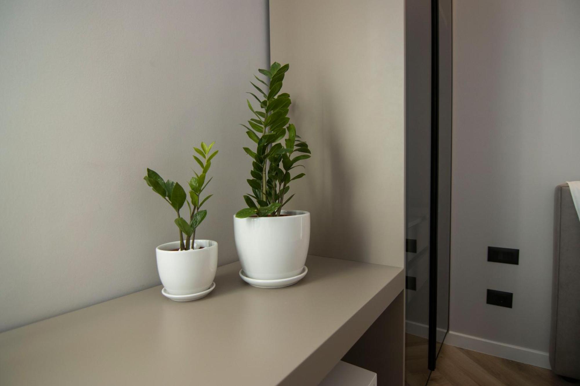 טיראנה Mina Luxury Rooms מראה חיצוני תמונה